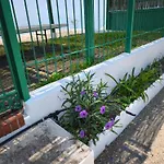 Valle Niza, N 340, 21, Playa * Velez Malaga