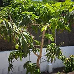 Valle Niza, N 340, 21, Playa