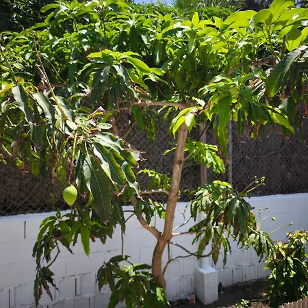 Valle Niza, N 340, 21, Playa